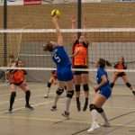 VV Grol DS1