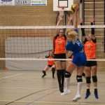 VV Grol DS1