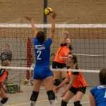 VV Grol DS1