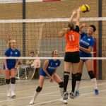 VV Grol DS1