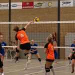 VV Grol DS1