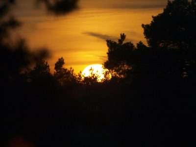 Lochemse-Berg--Nacht-van-de-Nacht-foto-Piet-van-Merrebach