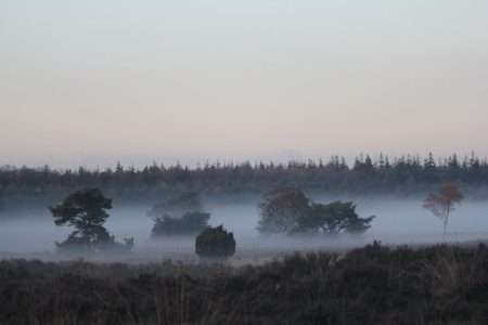 Rechtenvrije-foto_Gelderland.1-