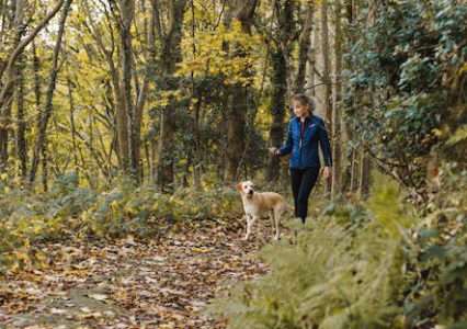 Wandelen met de hond