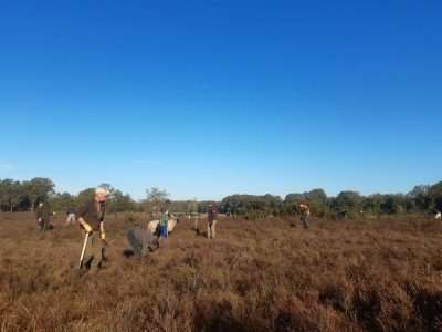 Natuurwerkdag op Landgoed Beekvliet in Barchem