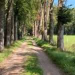 unnamed (3)