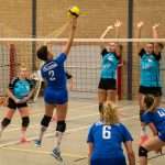 VV Grol DS1