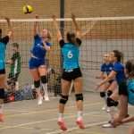 VV Grol DS1