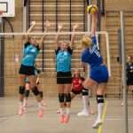 VV Grol DS1