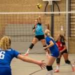 VV Grol DS1
