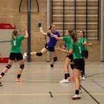 H.V. Grol DS2