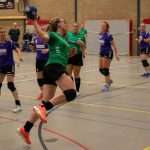 H.V. Grol DS2