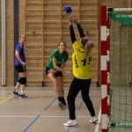 H.V. Grol DS2