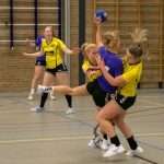 H.V. Grol DS1