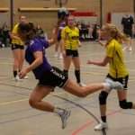 H.V. Grol DS1