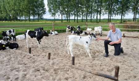 Innovatie op het Boerenerf in de Achterhoek & Liemers