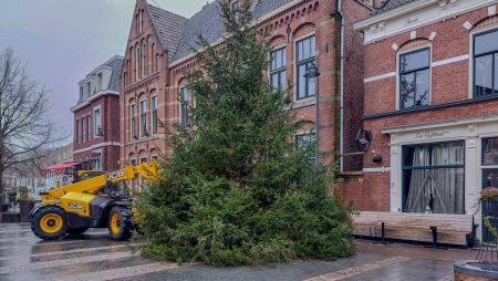 Kerstboom Markt Groenlo