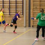 HV Grol DS4