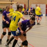HV Grol DS4