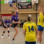 HV Grol DS4