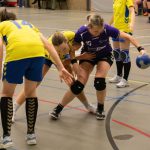 HV Grol DS4