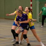HV Grol DS4