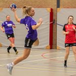 HV Grol DS2