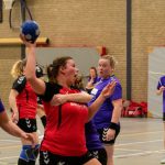 HV Grol DS2