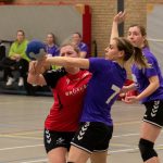 HV Grol DS2
