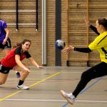 HV Grol DS2