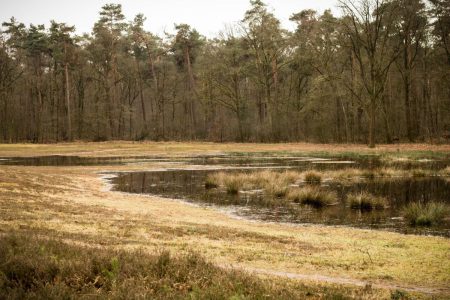 Winterwandeling, landgoed Hagen