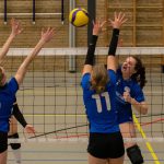 VV Grol DS1