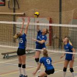 VV Grol DS1
