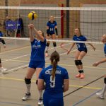 VV Grol DS1