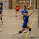 VV Grol DS1