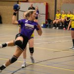 HV Grol DS1