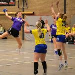 HV Grol DS1