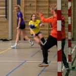 HV Grol DS1