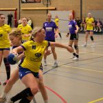 HV Grol DS1
