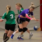 HV Grol DS2