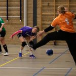 HV Grol DS2