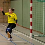 HV Grol DS2