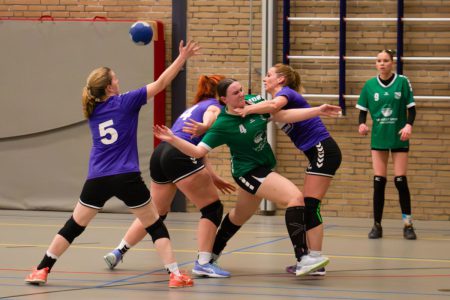 HV Grol DS2 – Stormvogels DS2