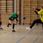 HV Grol DS2