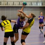 HV Grol DS1