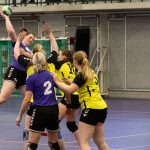 HV Grol DS1