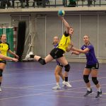 HV Grol DS1