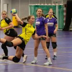 HV Grol DS1
