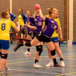 HV Grol DS4
