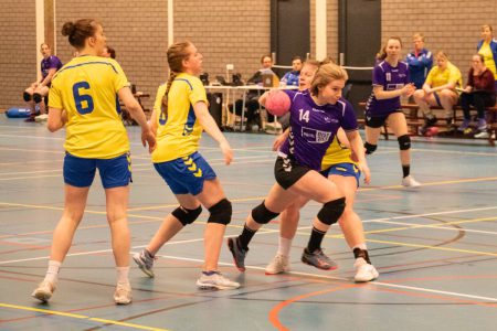 HCW DS2 – HV Grol DS4